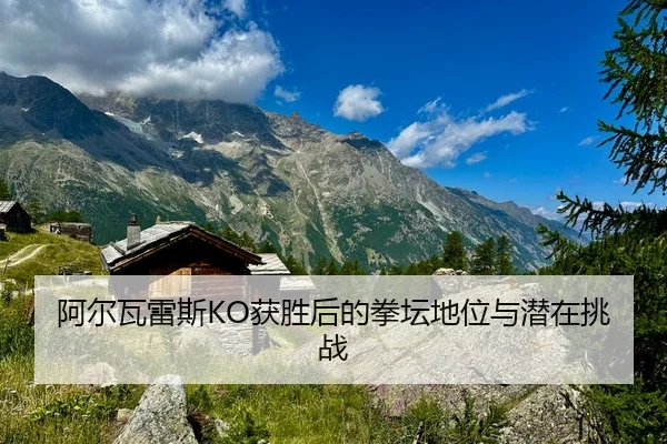 阿尔瓦雷斯KO获胜后的拳坛地位与潜在挑战
